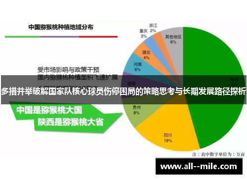 多措并举破解国家队核心球员伤停困局的策略思考与长期发展路径探析 多措并举破解国家队核心球员伤停困局的策略思考与长期发展路径探析